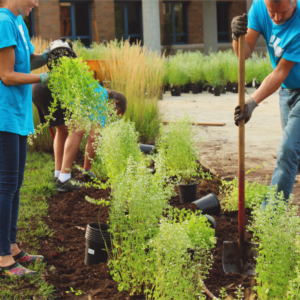 Agricultura Urbana: agroecologia, alimentação, saúde e bem-estar