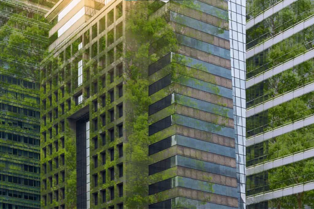 Conheça as práticas de ESG da Artesano